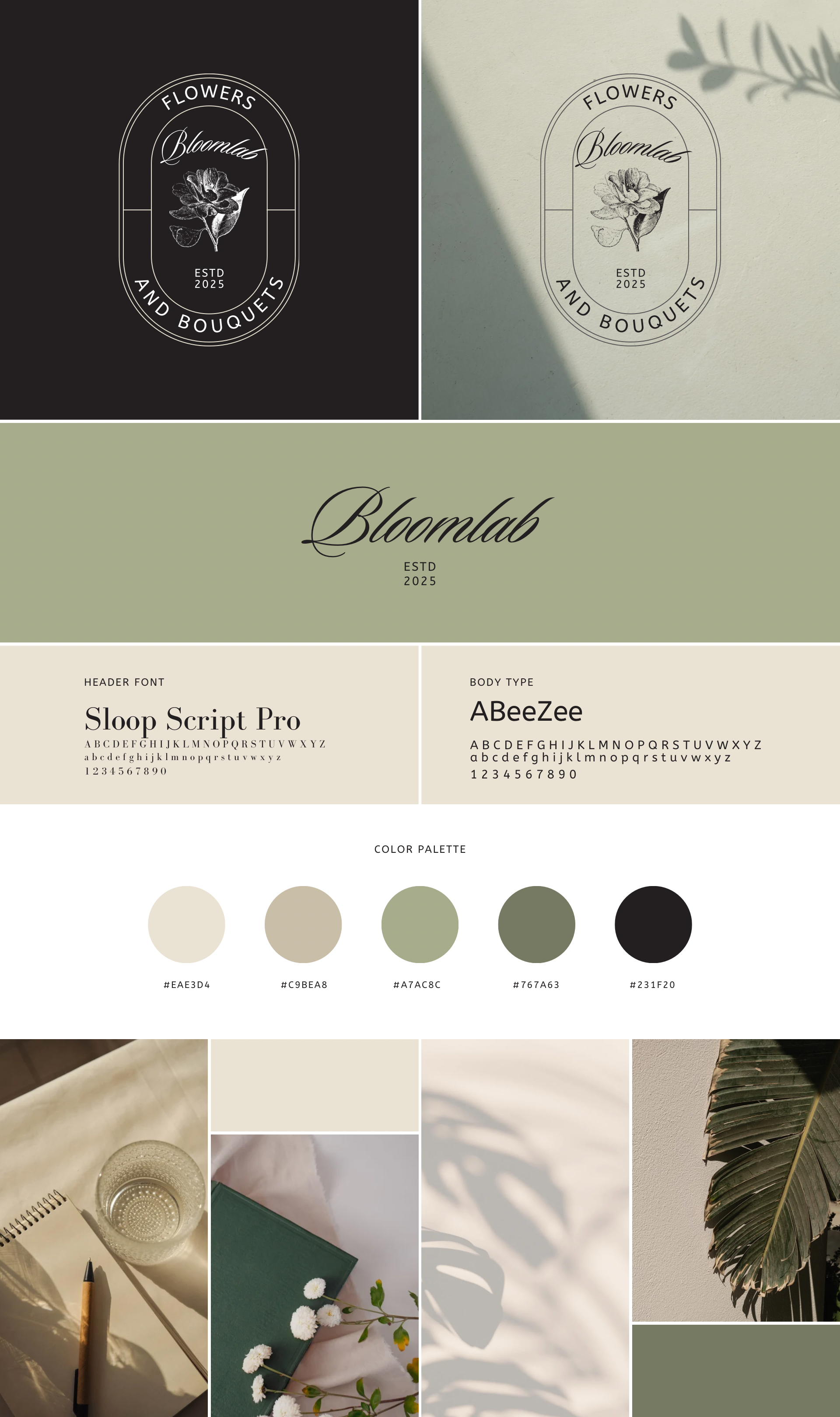 Brand Kit 3